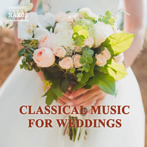 小孩半夜喂姐姐吃睾丸
